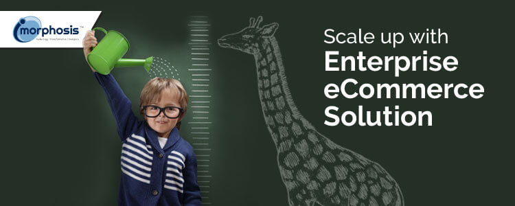 Scaling up Business Just Got Easier with Enterprise eCommerce Solution